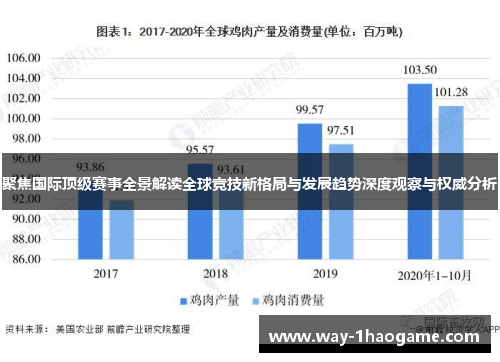 聚焦国际顶级赛事全景解读全球竞技新格局与发展趋势深度观察与权威分析 聚焦国际顶级赛事全景解读全球竞技新格局与发展趋势深度观察与权威分析