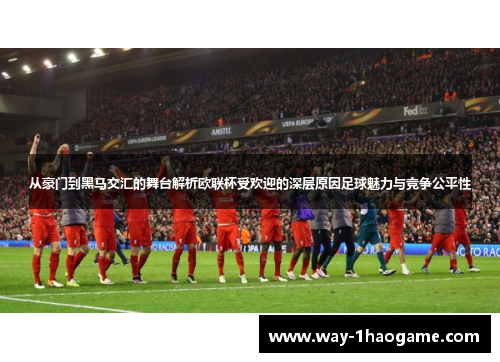 从豪门到黑马交汇的舞台解析欧联杯受欢迎的深层原因足球魅力与竞争公平性