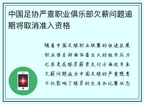 中国足协严查职业俱乐部欠薪问题逾期将取消准入资格